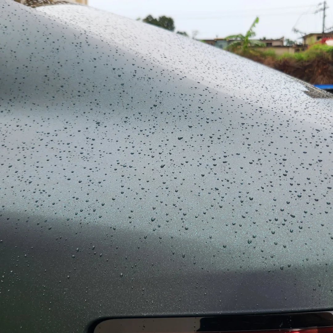 BYD Matte Diamond Black Green Car Vinyl Wrap - Image 2