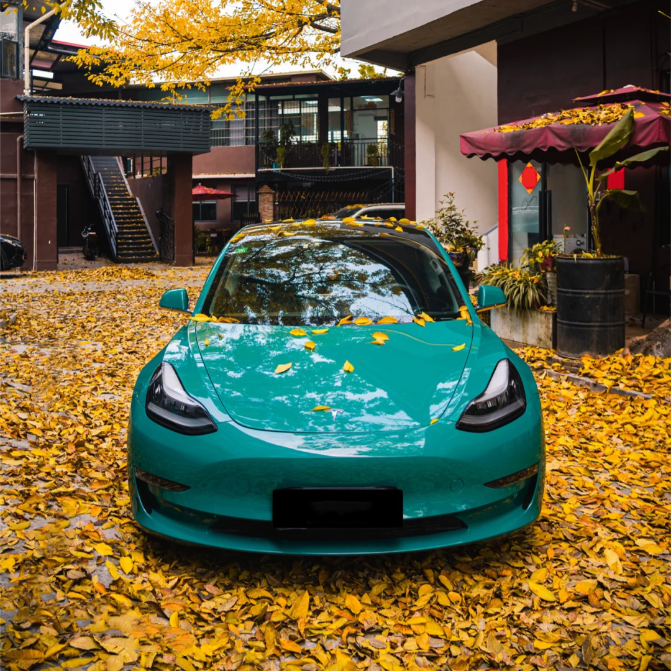 Super Gloss Pine Green Car Vinyl Wrap - Image 7